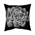 Begin Home Decor 20 x 20 in. Black & White Succulent-Double Sided Print Indoor Pillow 5541-2020-FL93